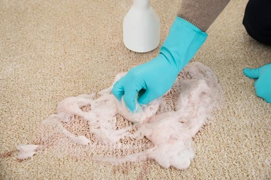 carpet cleaning lancaster county pa